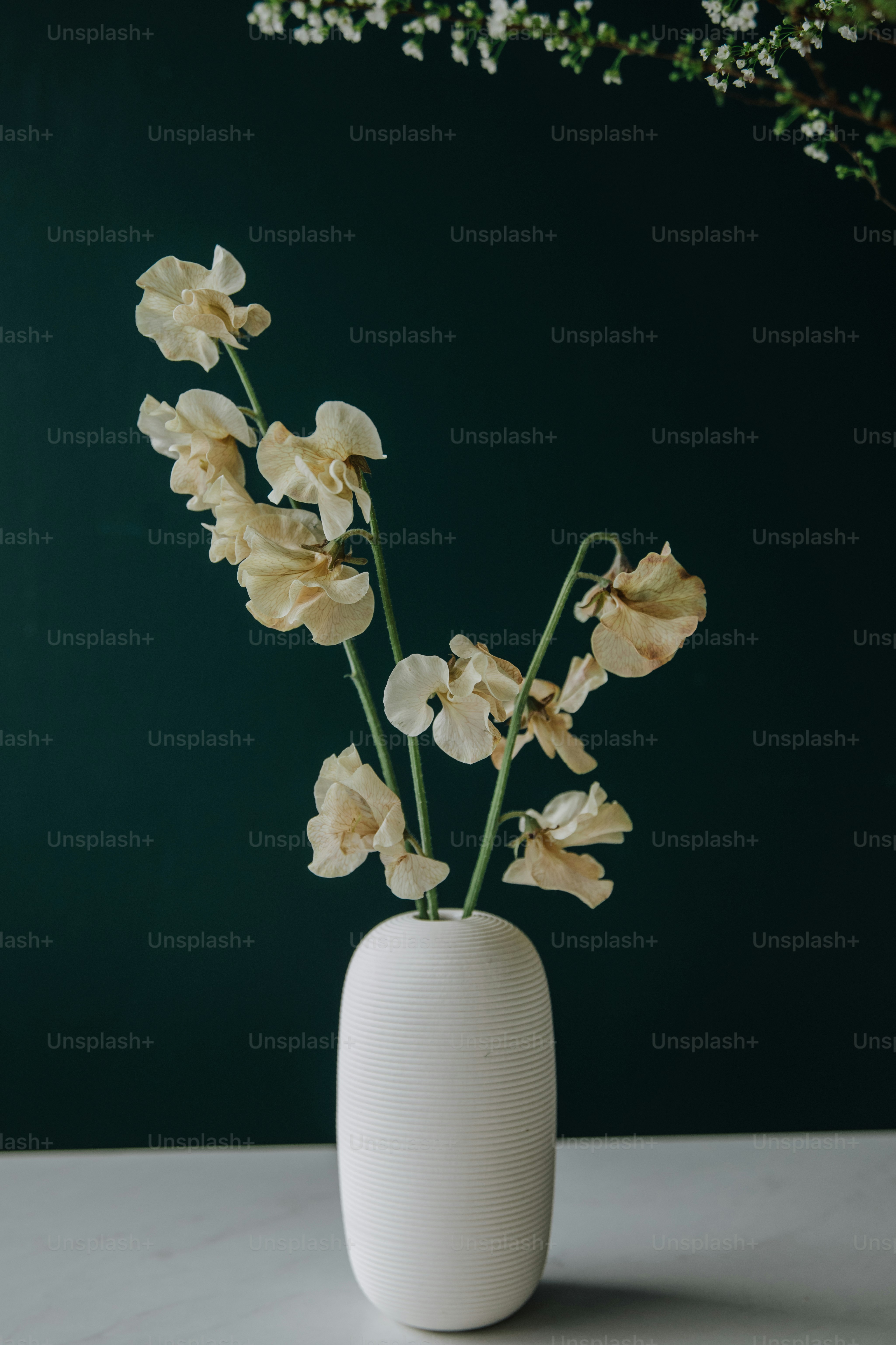 un vase blanc rempli de fleurs sur une table