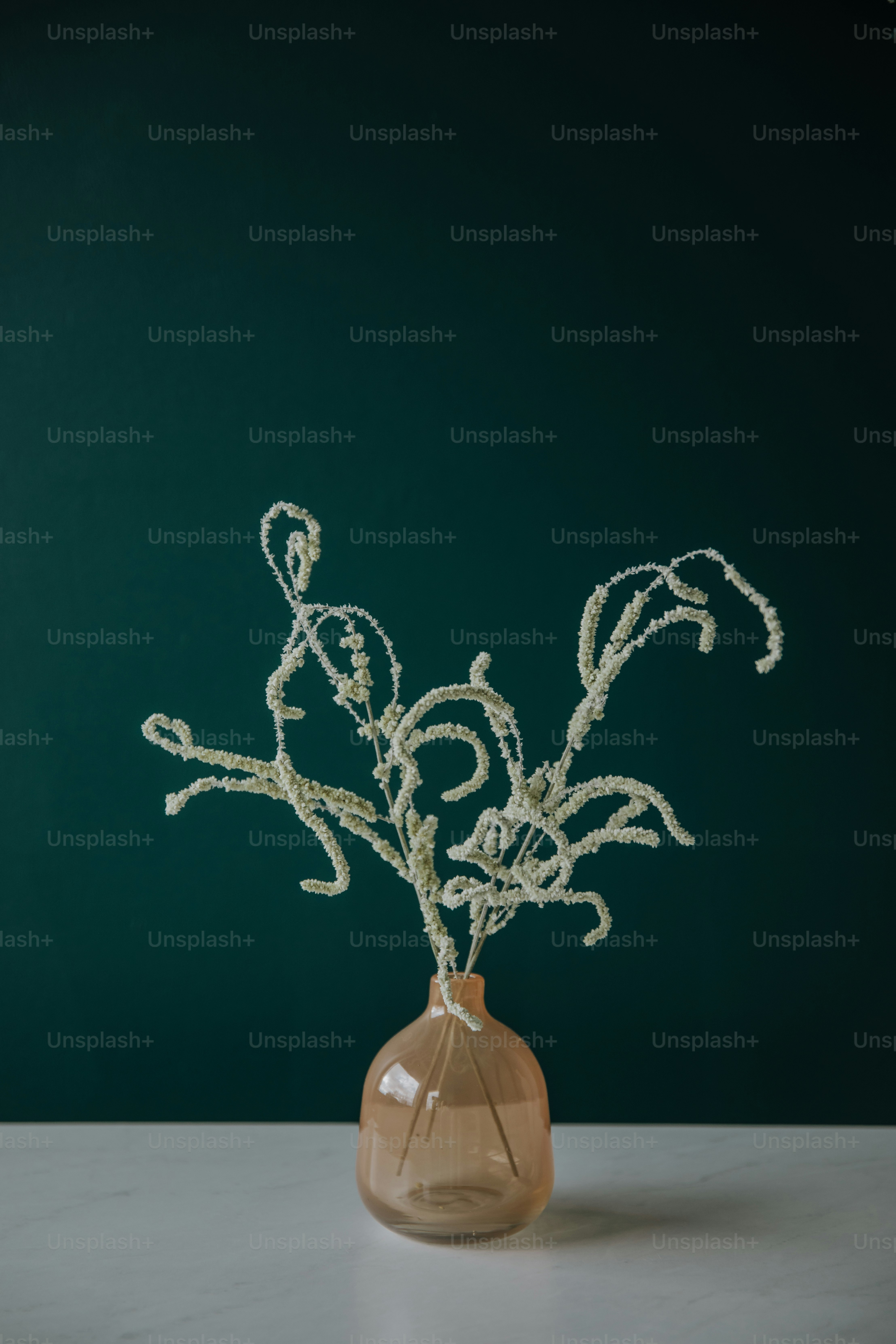 a vase with a plant in it on a table