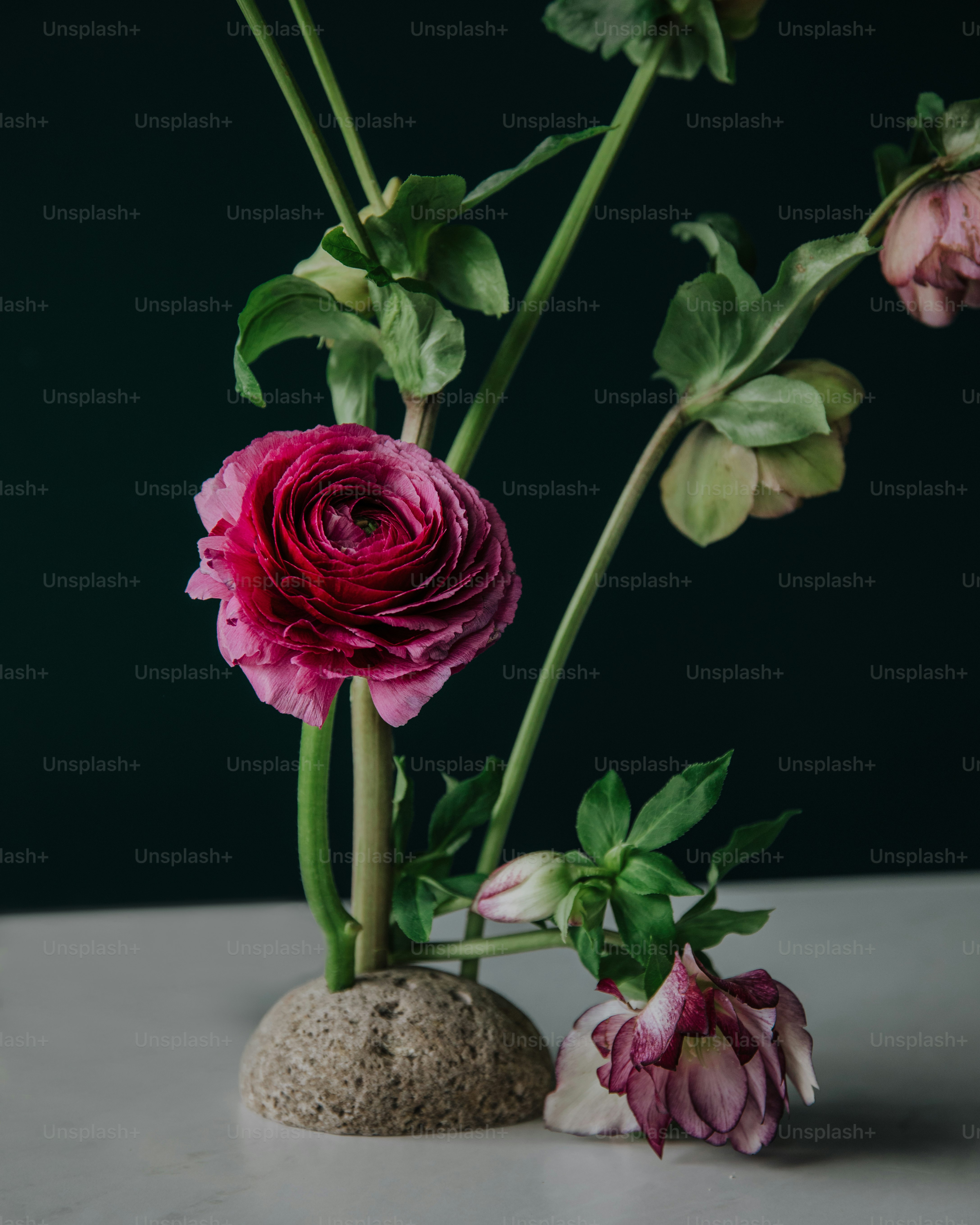 a couple of flowers that are sitting on a table