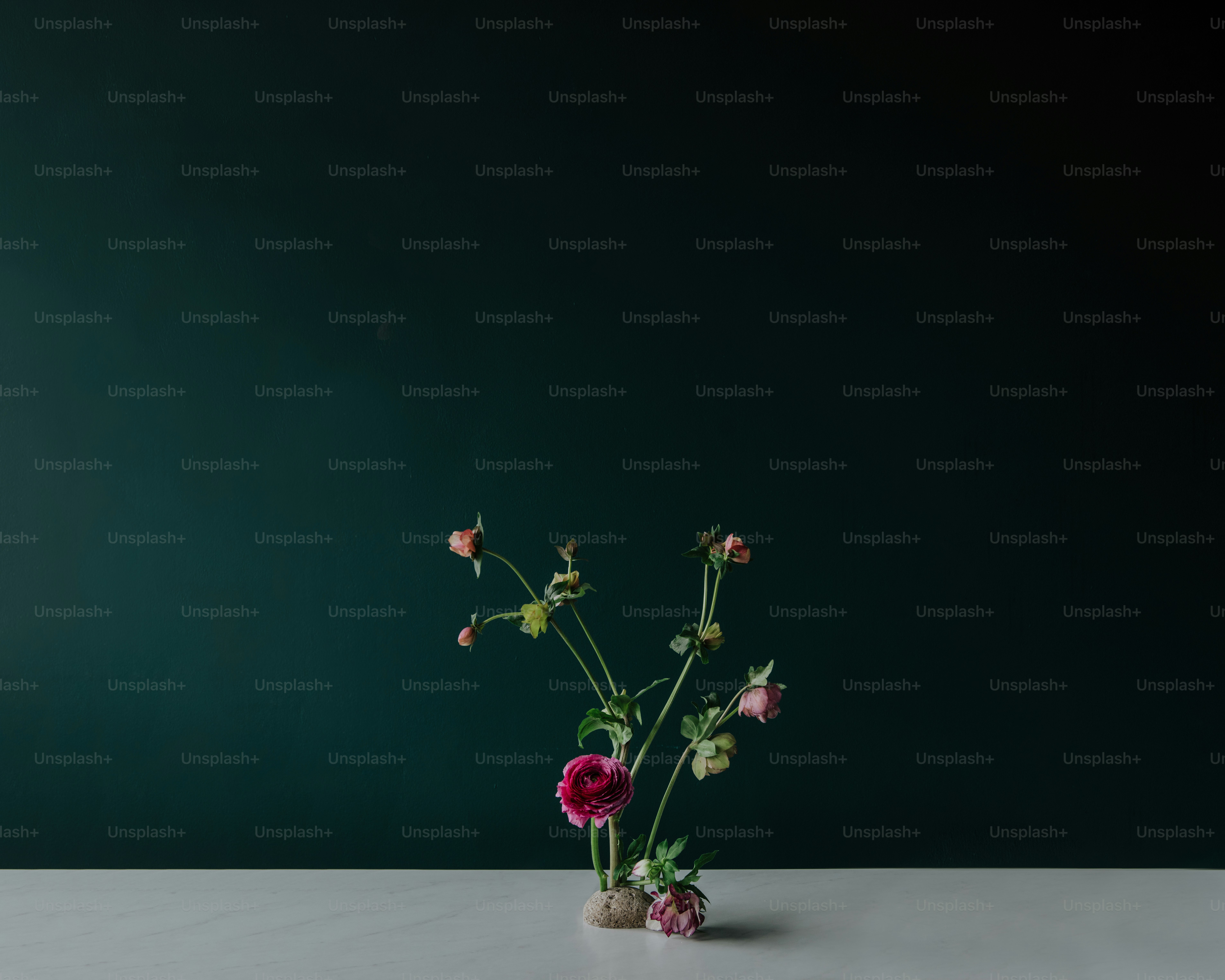 a vase filled with flowers sitting on top of a table