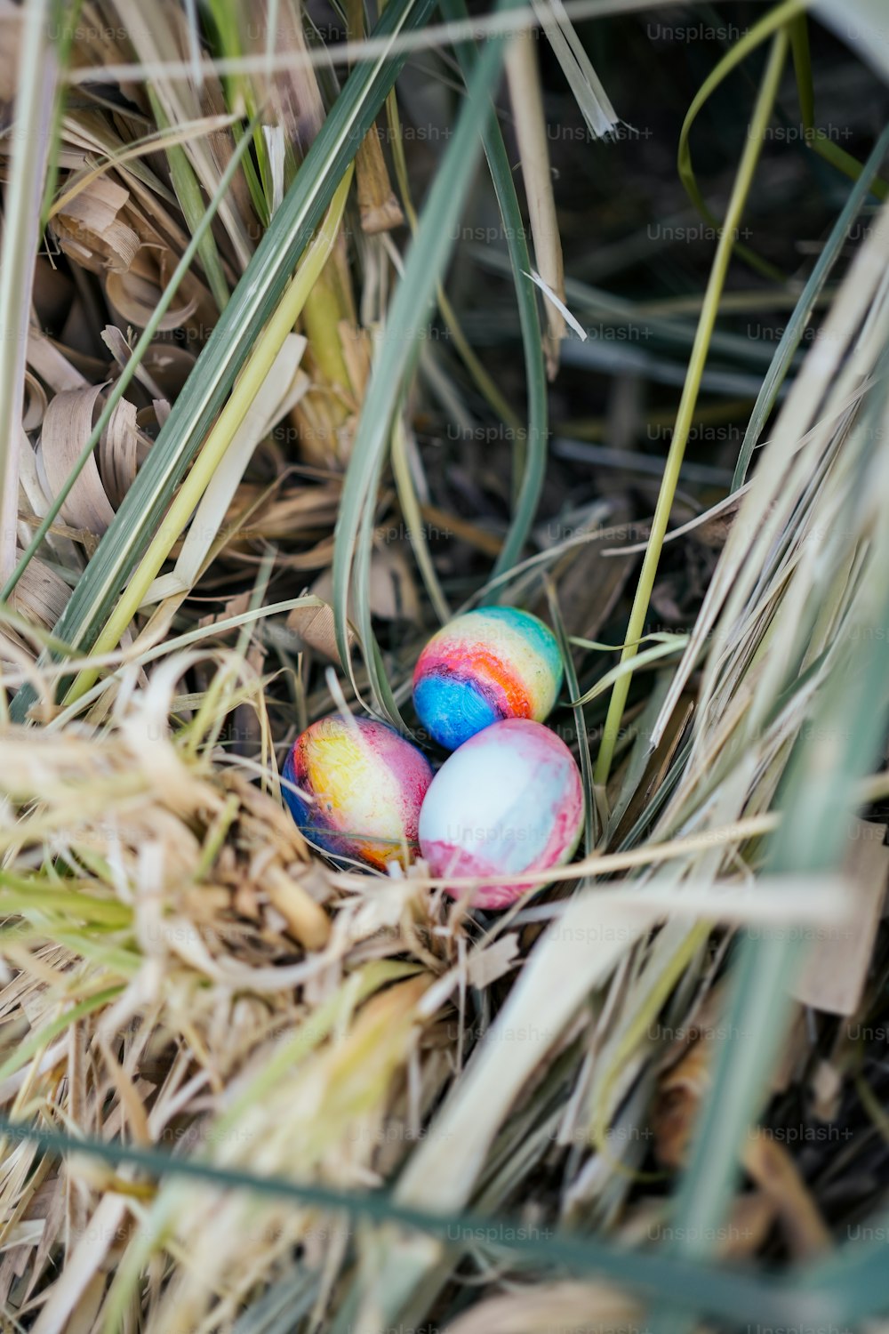 a couple of eggs that are sitting in the grass