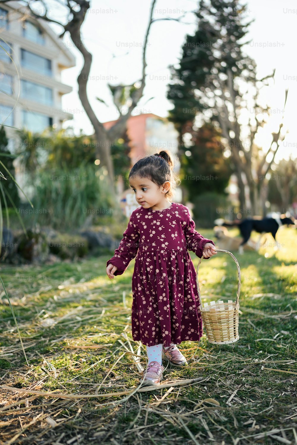 a little girl holding a basket in the grass