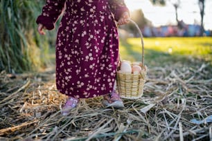 a little girl holding a basket of eggs