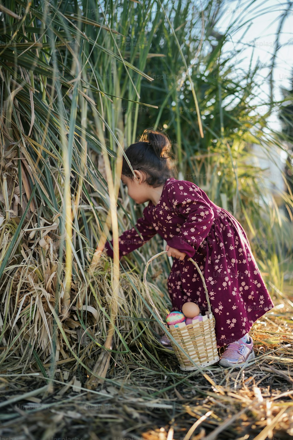 Una niña con un vestido púrpura recogiendo un poco de hierba