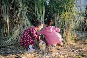 Zwei kleine Mädchen spielen mit einem Korb auf einem Feld