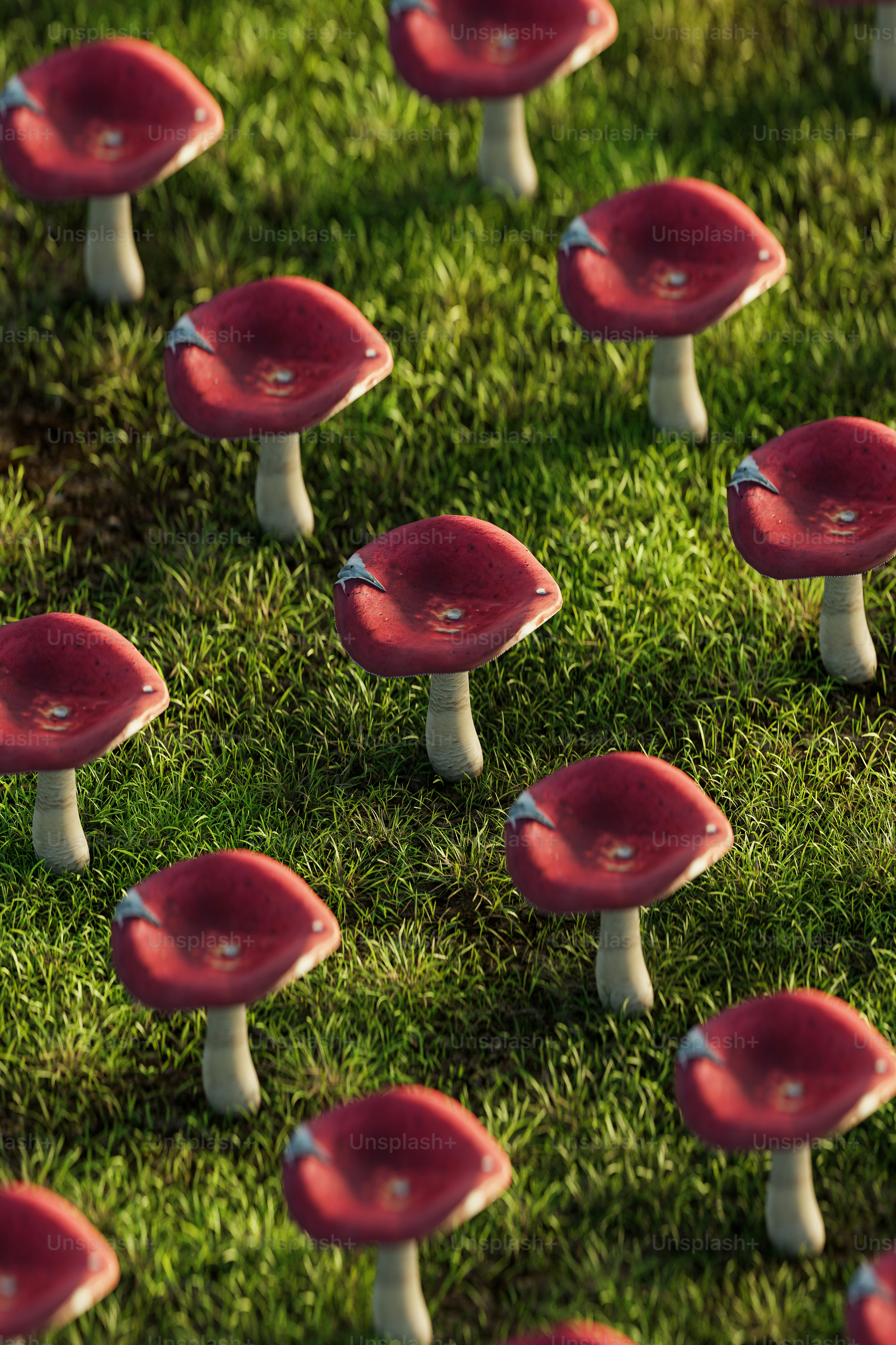 a group of red mushrooms sitting on top of a lush green field