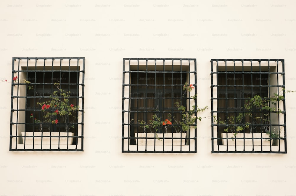 um par de janelas que têm plantas neles