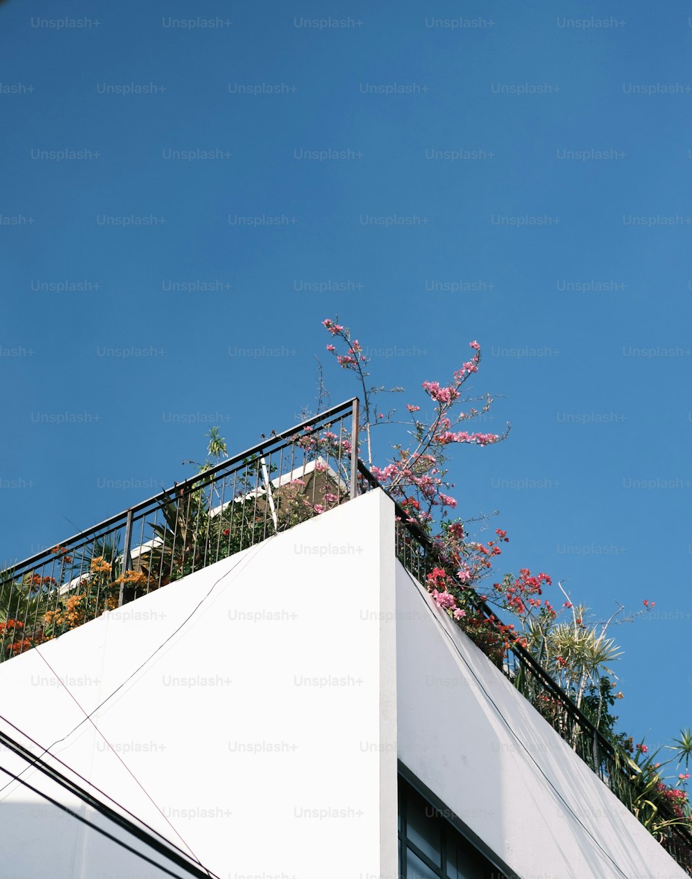 a white building with a planter on top of it