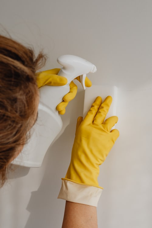 Lessivage murs et plafonds