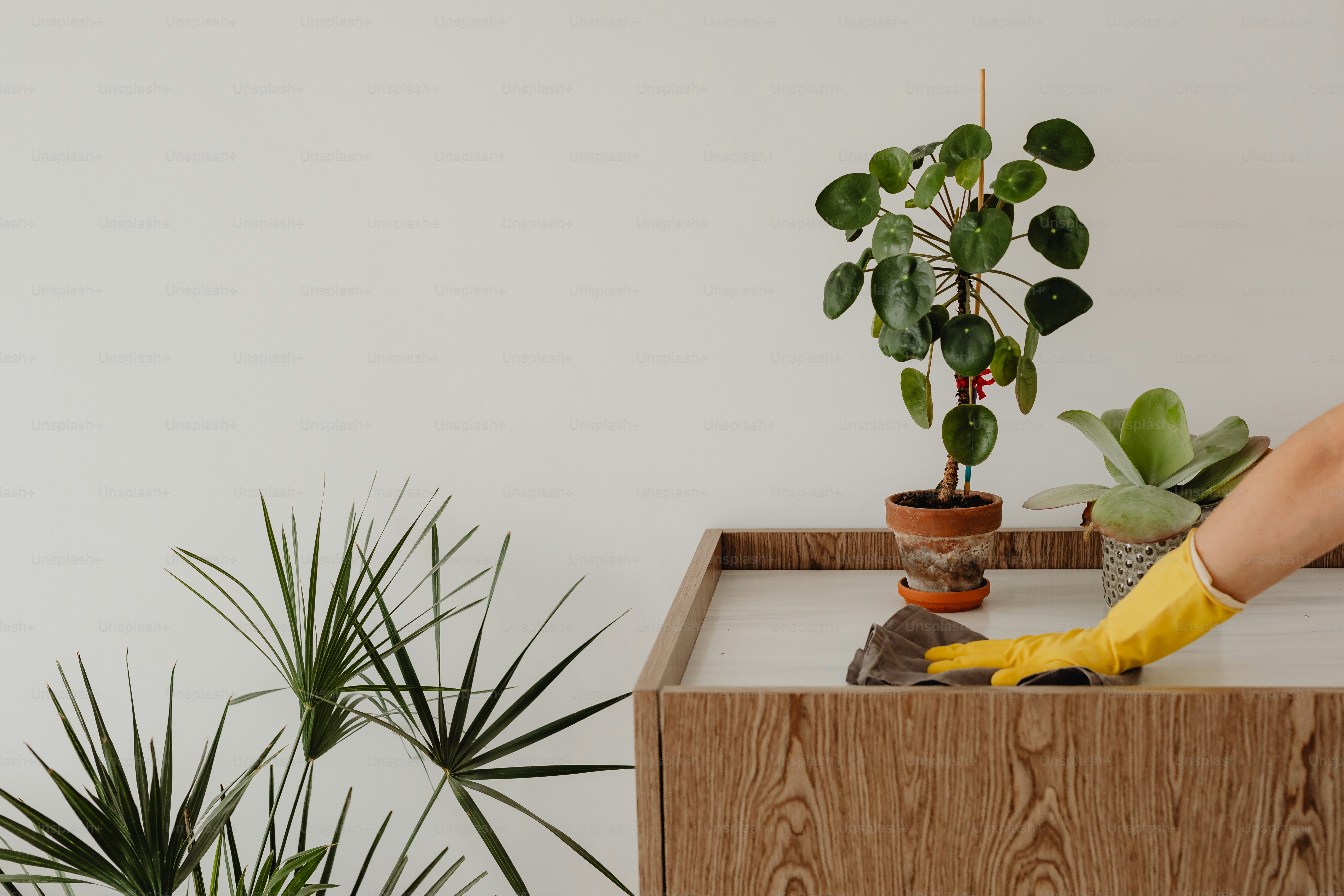 Eine Person in gelben Gummihandschuhen putzt einen Tisch