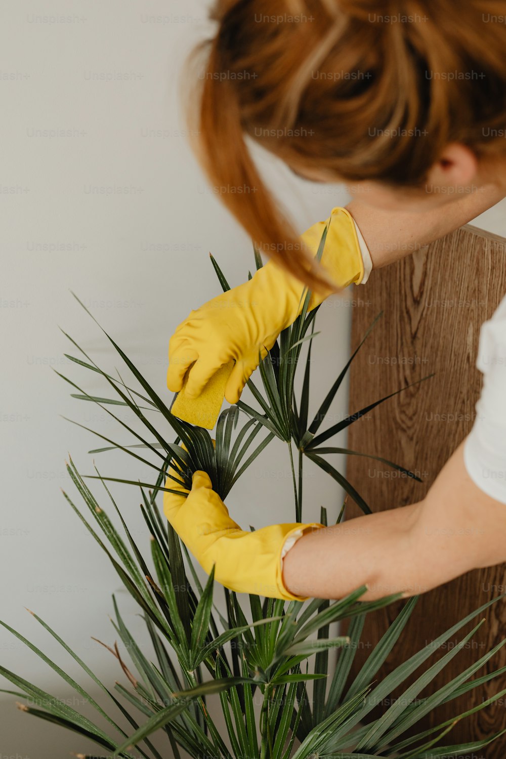 a woman in yellow gloves cleaning a potted plant