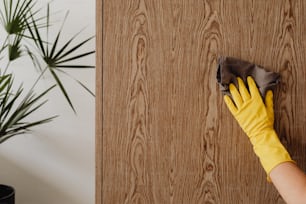 Una persona in guanti gialli che pulisce una porta di legno