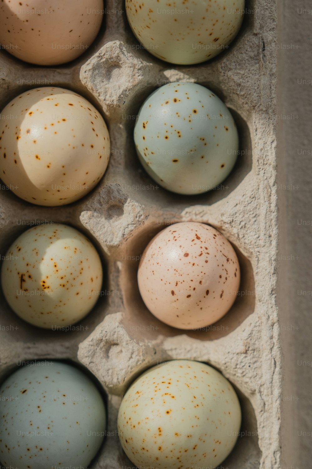 six eggs in a carton with brown speckles
