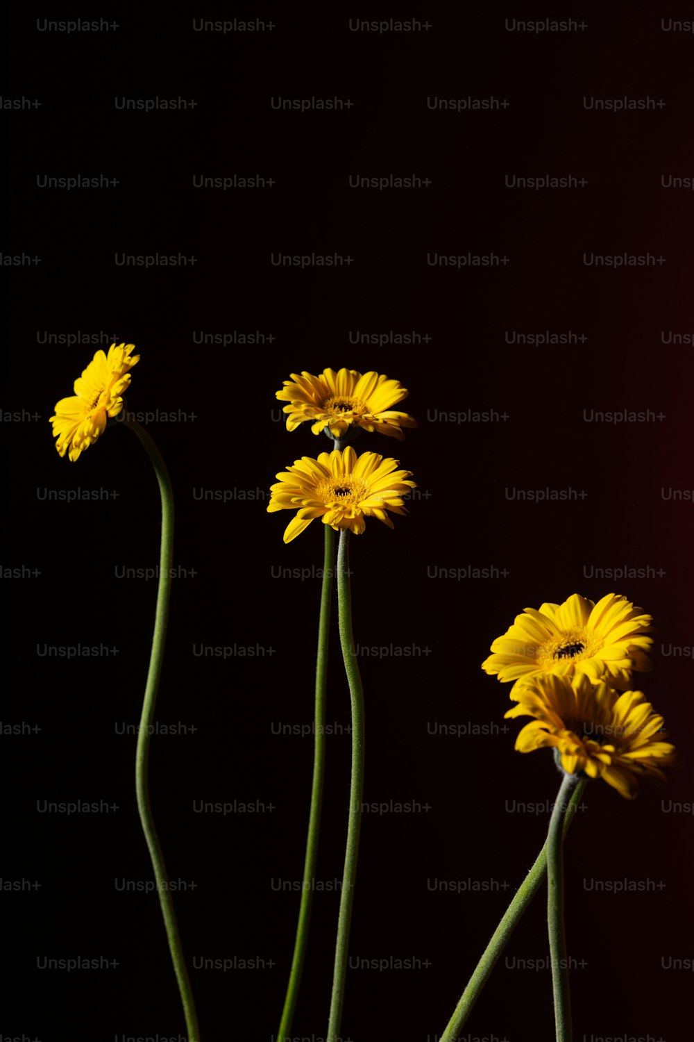 drei gelbe Blumen in einer Vase auf einem Tisch