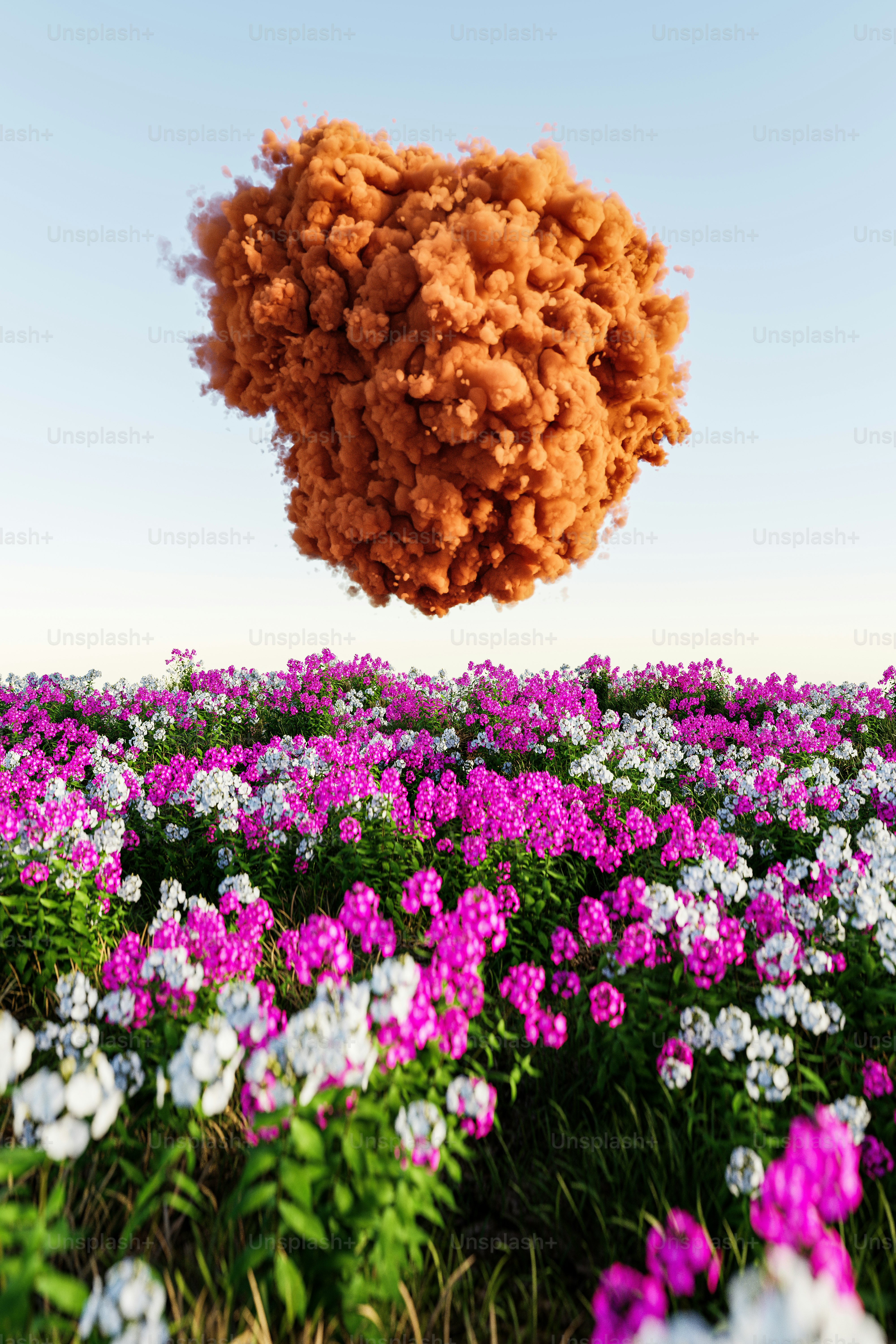 um ramo de flores que estão no ar