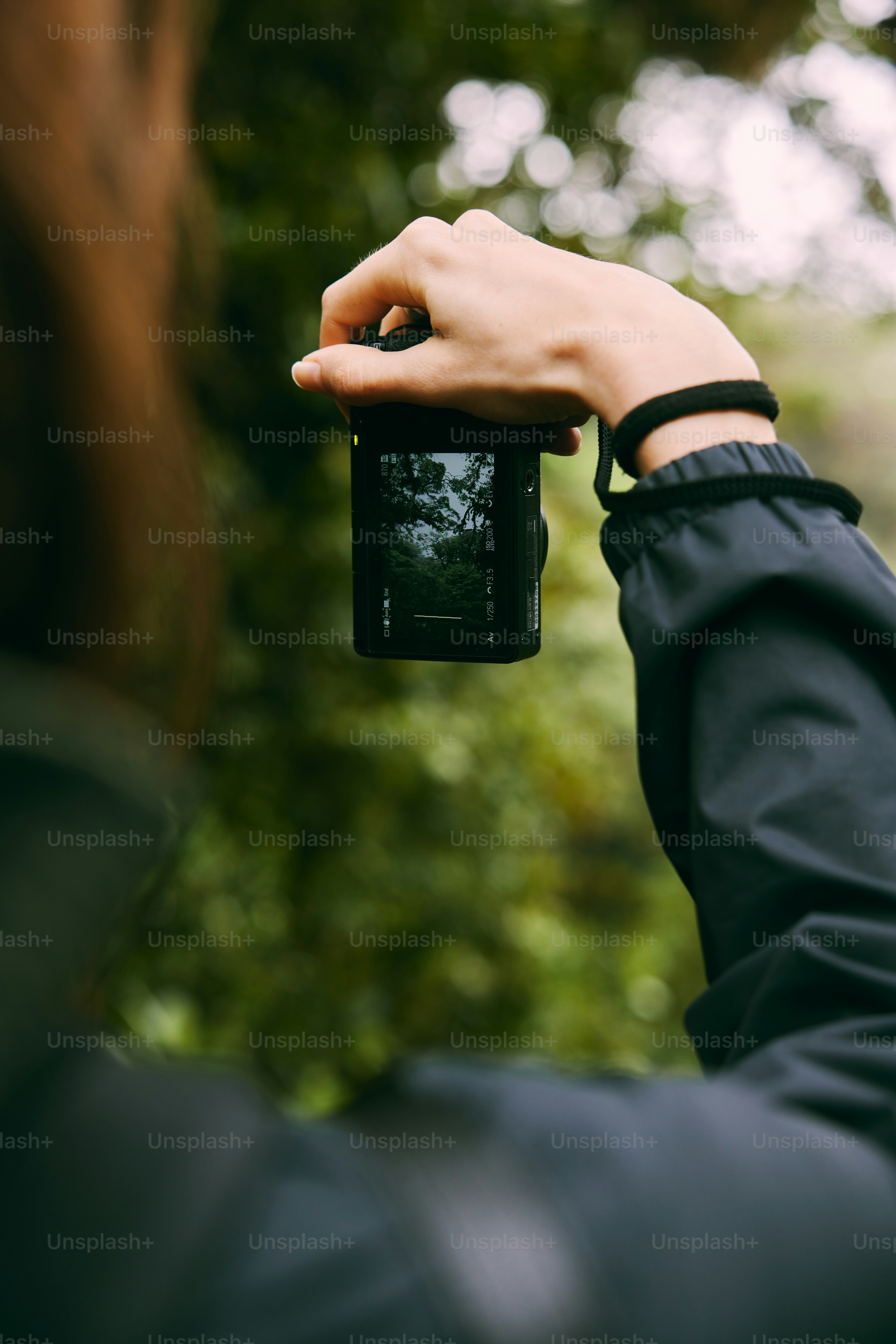 A woman standing on a bridge in the middle of a forest photo – Forest ...
