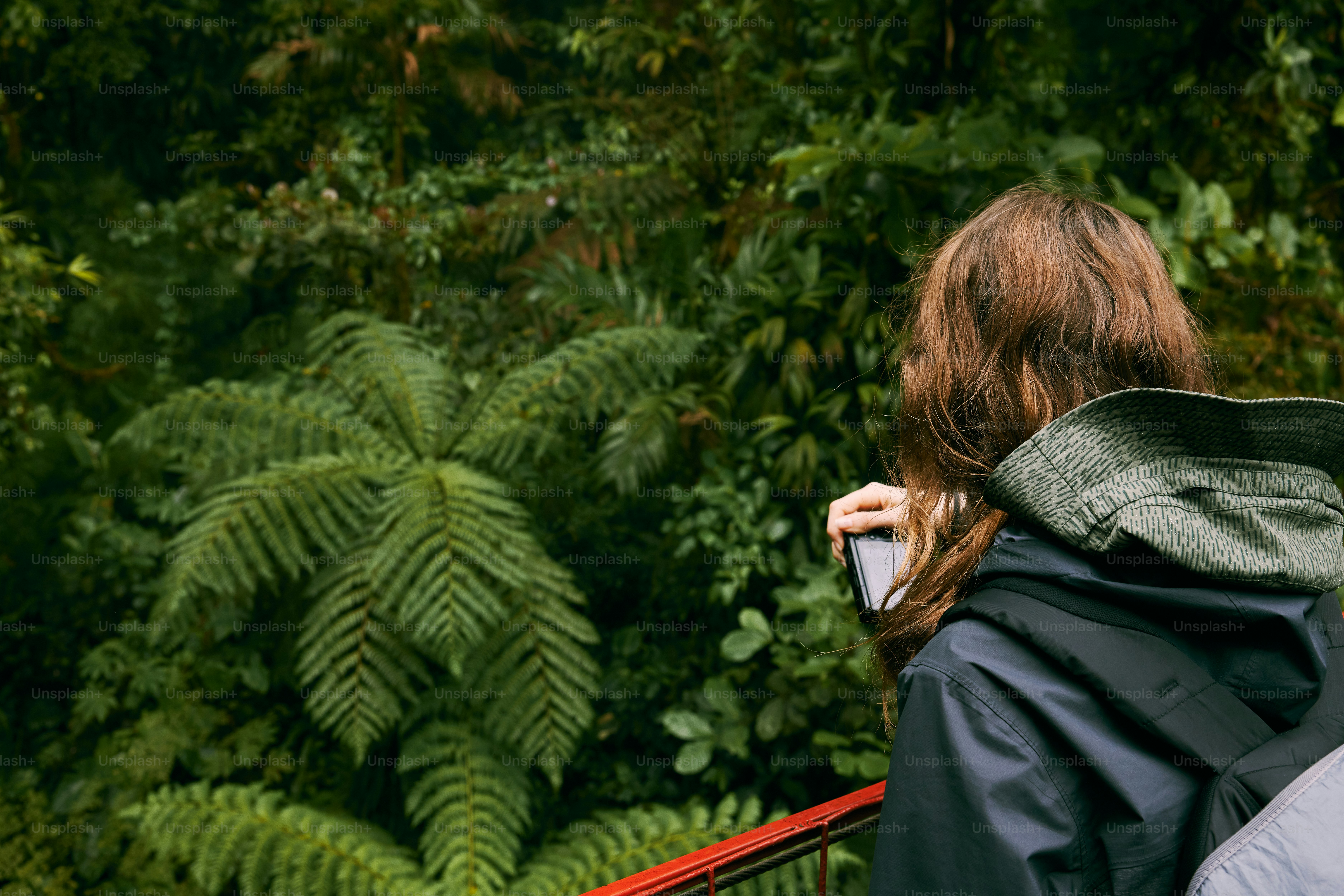 A woman standing on a bridge in the middle of a forest photo – Forest ...
