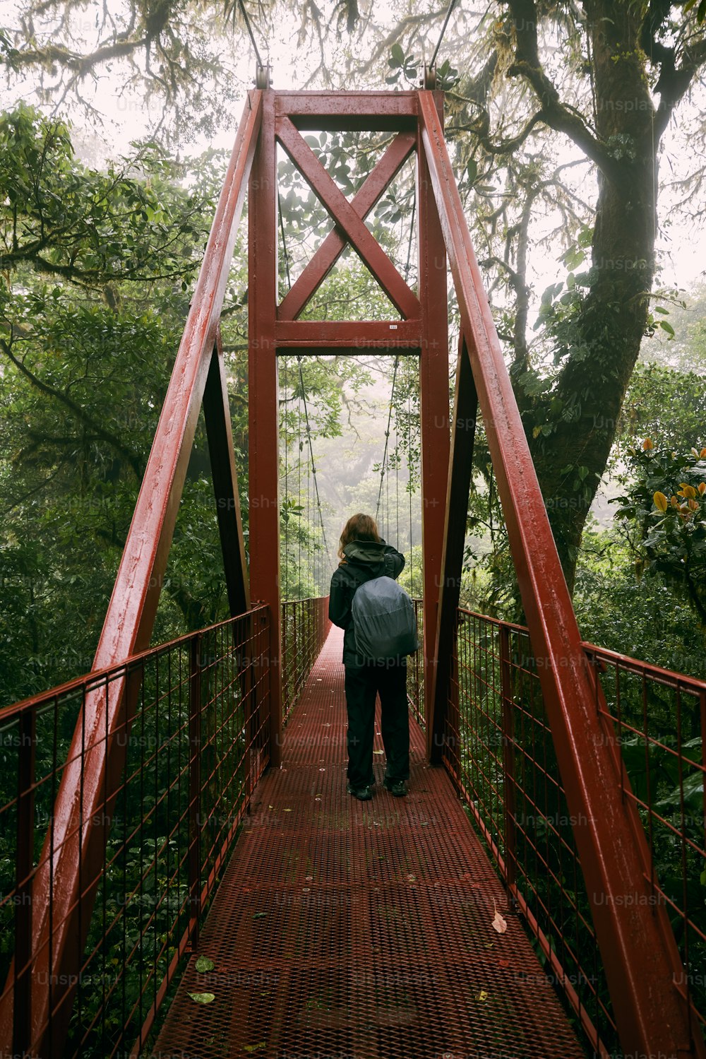 a person standing on a red bridge in the woods