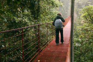 a man walking across a suspension bridge in the jungle