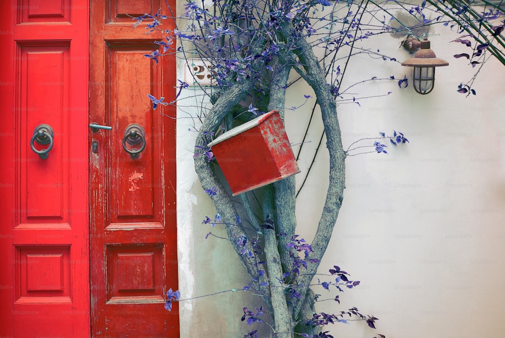 a red door and a tree with purple flowers