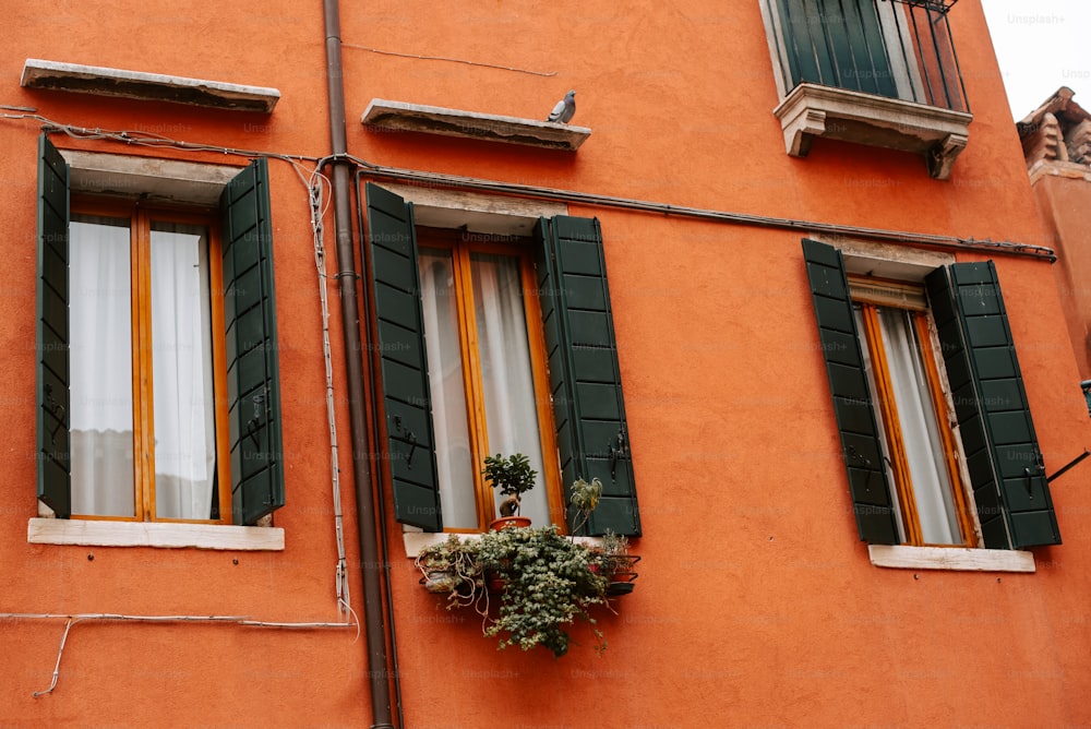 an orange building with two windows and green shutters