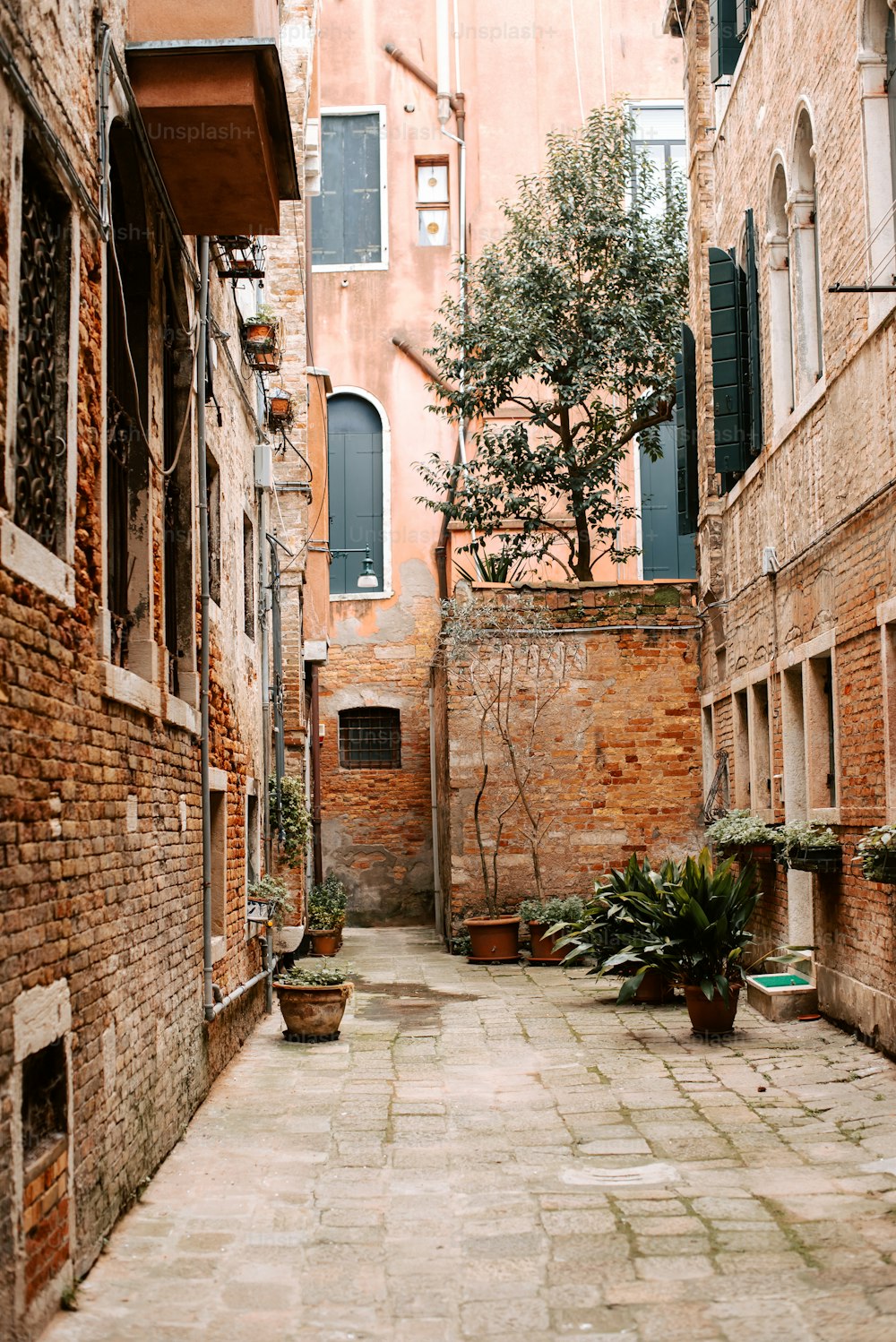 a narrow alleyway with potted plants on either side
