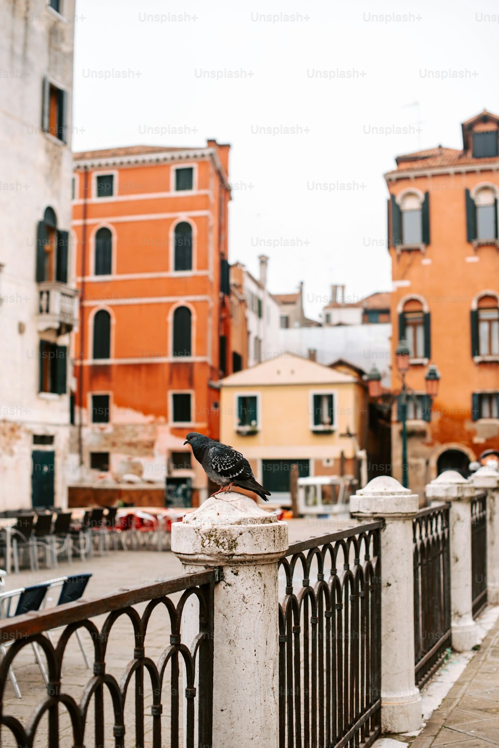 a bird sitting on a fence in front of some buildings