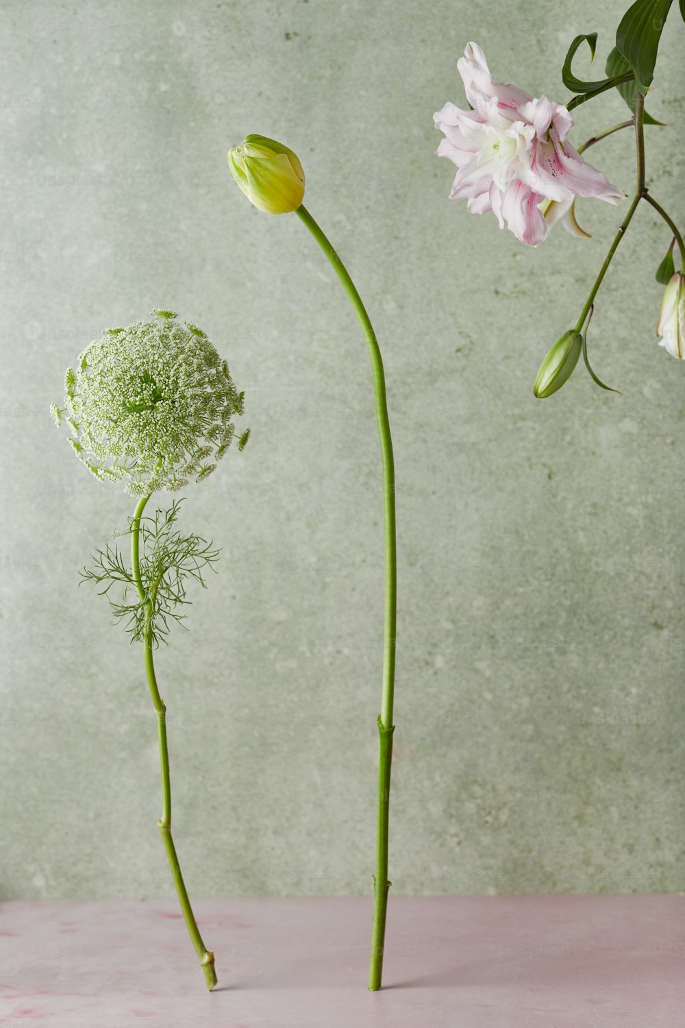 a couple of flowers that are on a table