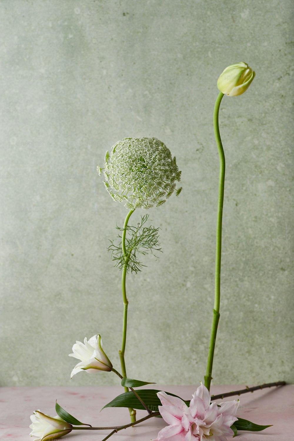 a vase with flowers on a table next to a wall