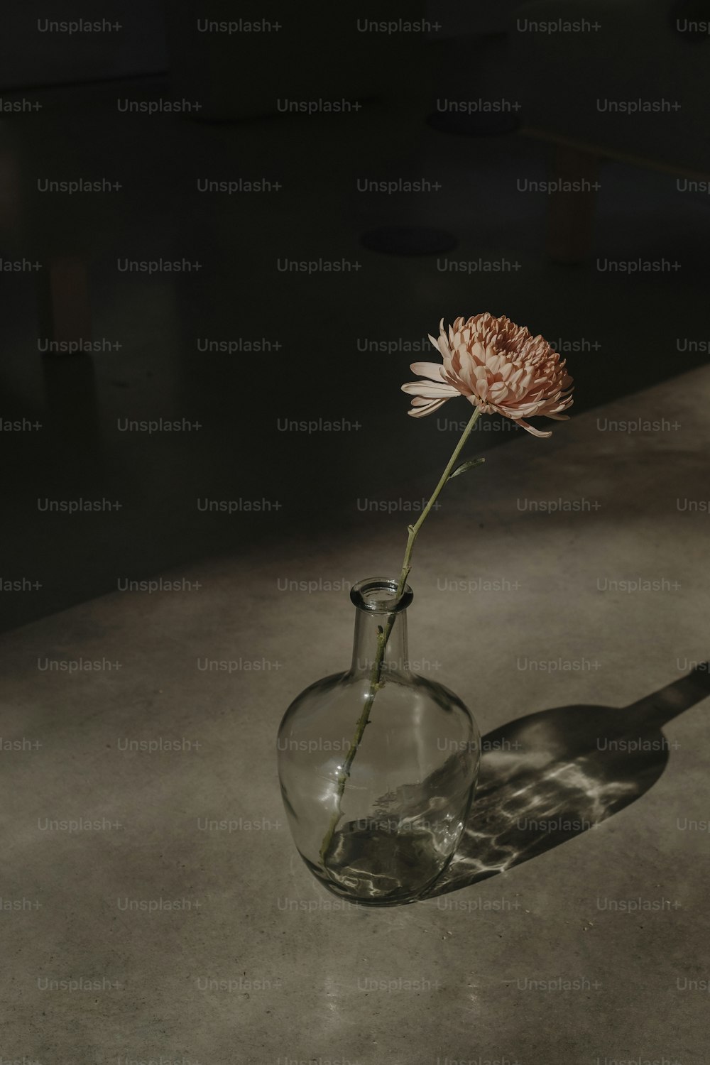 a single flower in a glass vase on a table