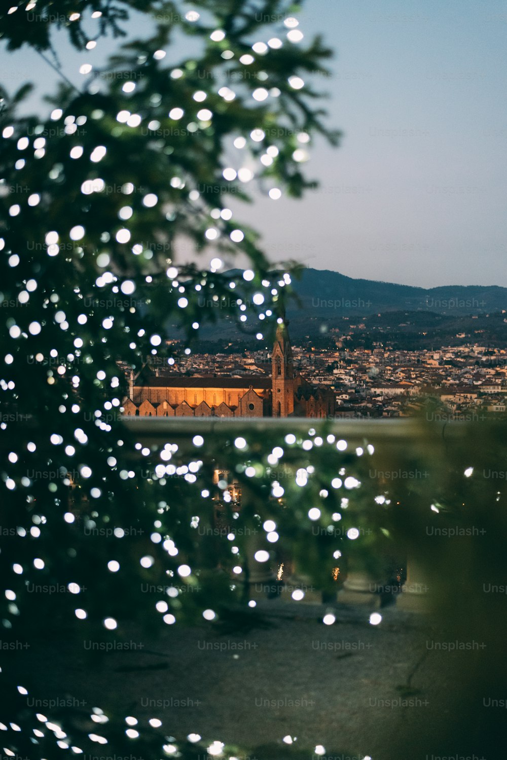 una vista di una città da dietro un albero