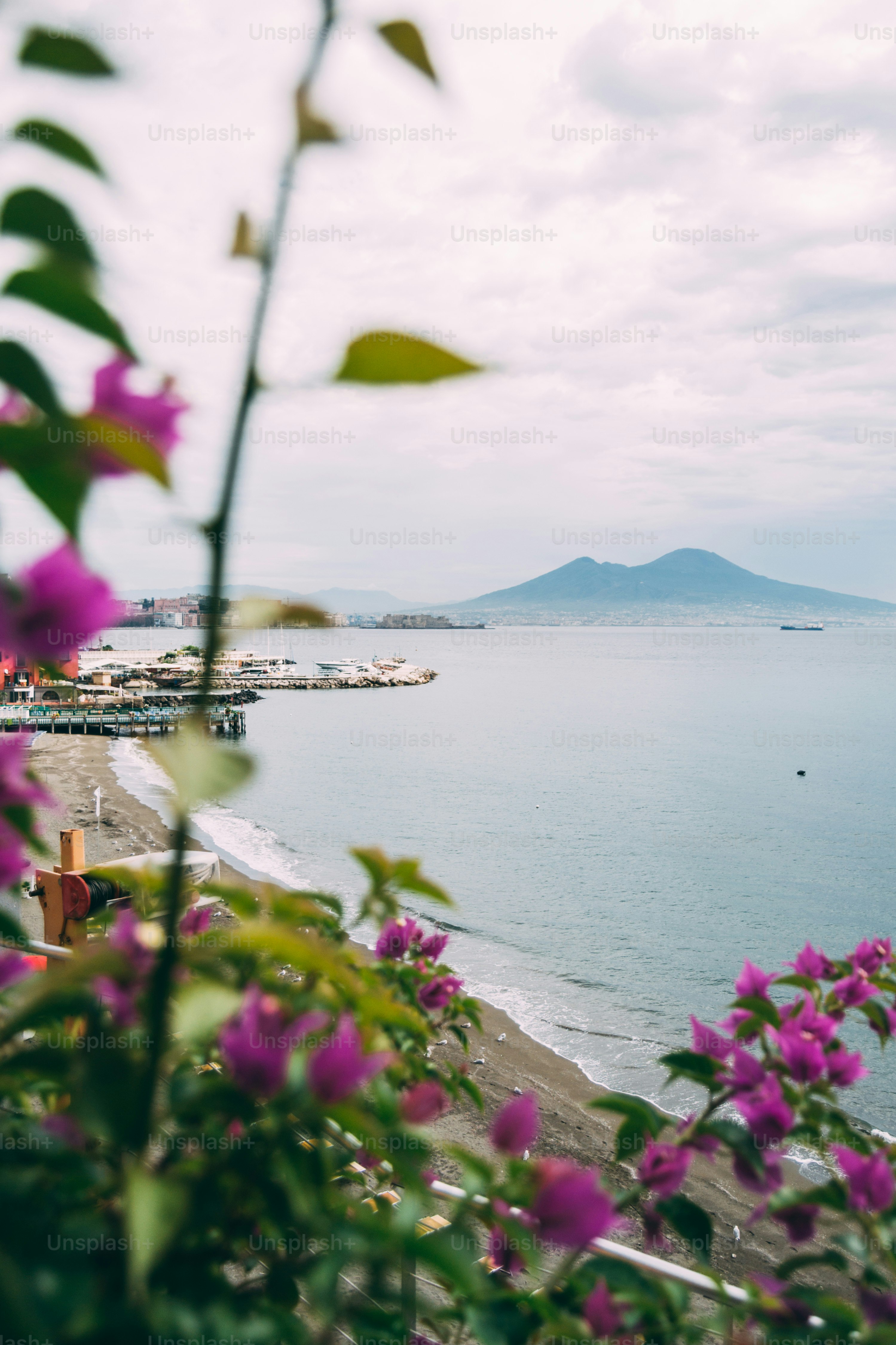 una vista di uno specchio d'acqua con un mazzo di fiori in primo piano