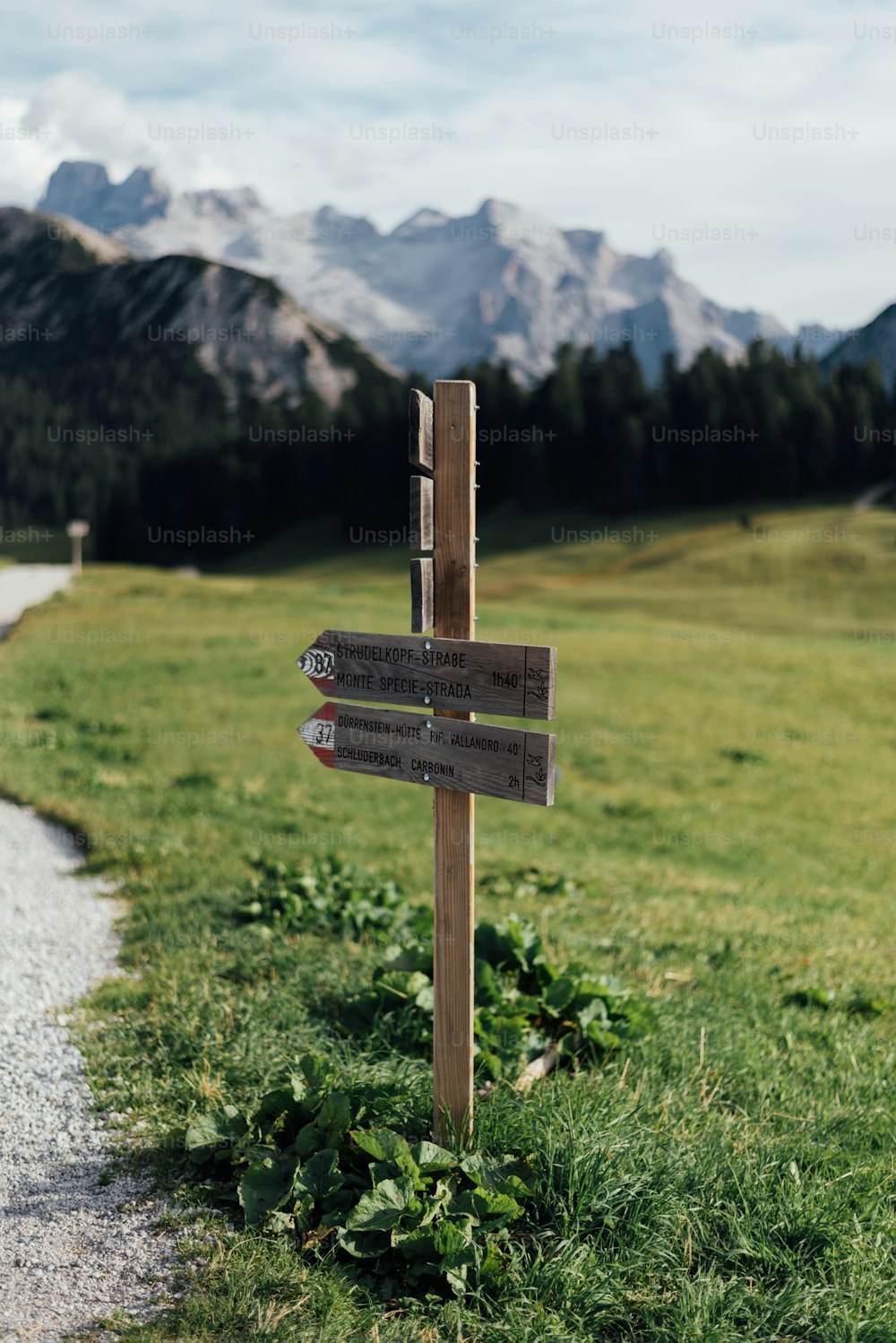 a wooden sign in the middle of a grassy field