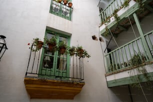 uma varanda com vasos de plantas nas varandas