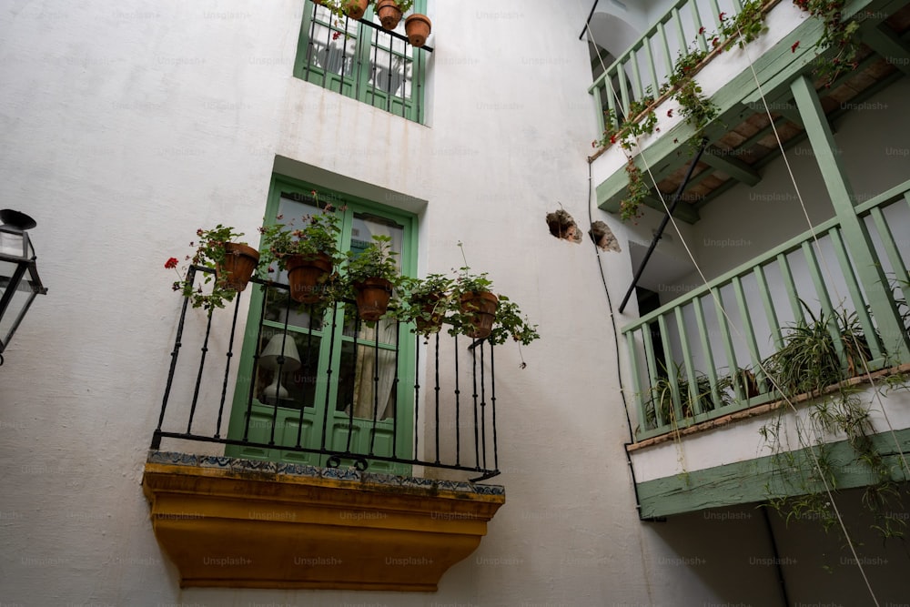ein Balkon mit Topfpflanzen auf den Balkonen