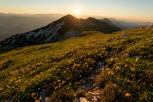 the sun is setting over a mountain with wildflowers