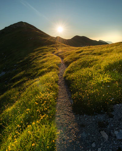 Sunset over grassy hill warm tones