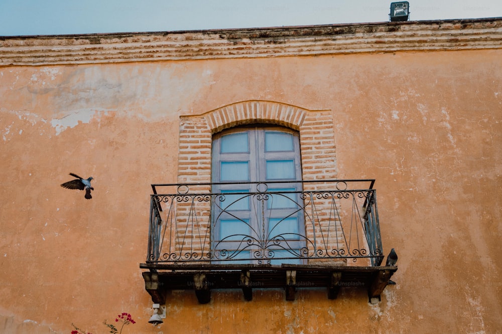 un balcone con ringhiera in ferro battuto e una finestra