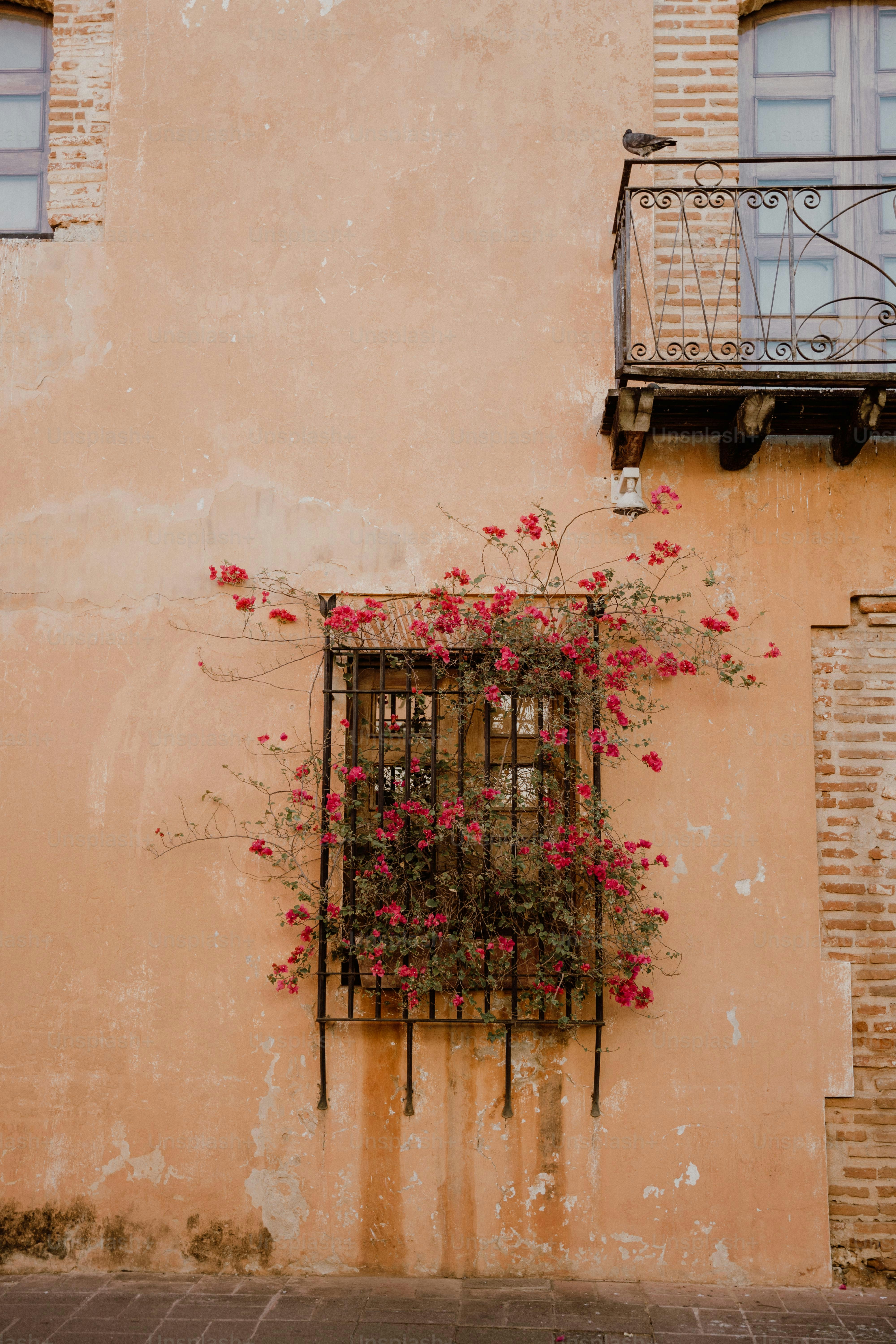 ein Gebäude mit Balkon und einem Fenster mit Blumen darauf