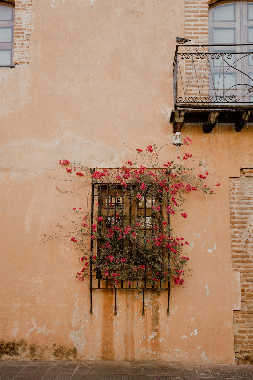 バルコニーと花が描かれた窓のある建物
