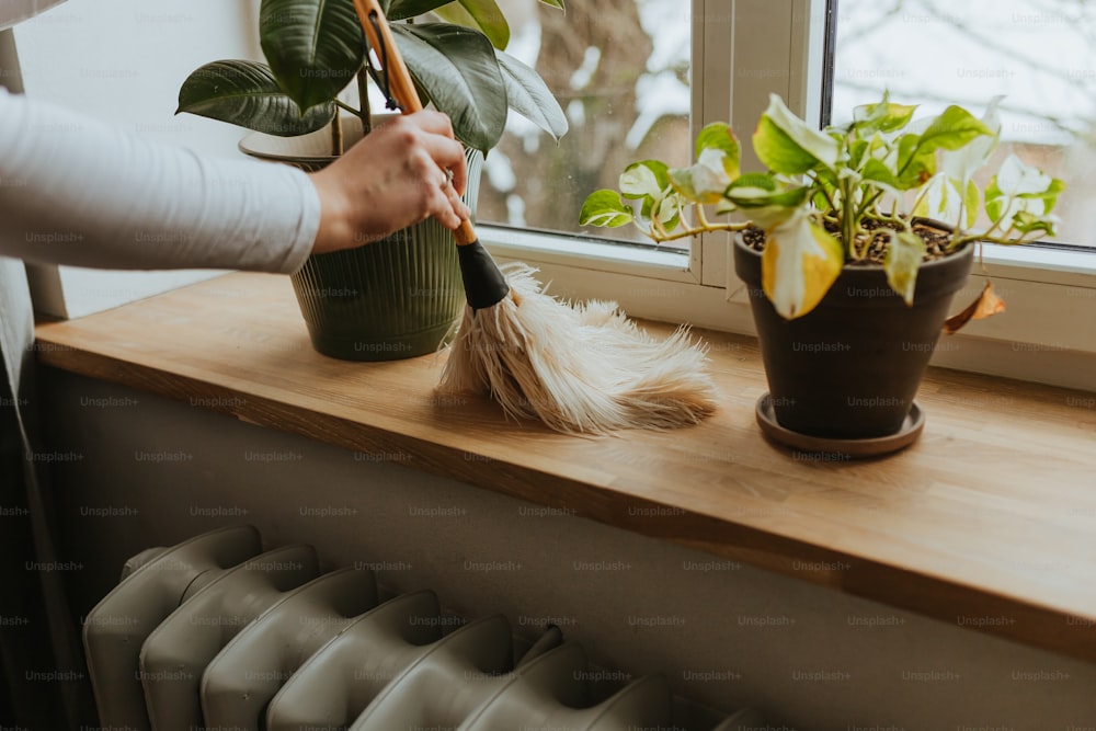 a person is cleaning a window sill with a broom