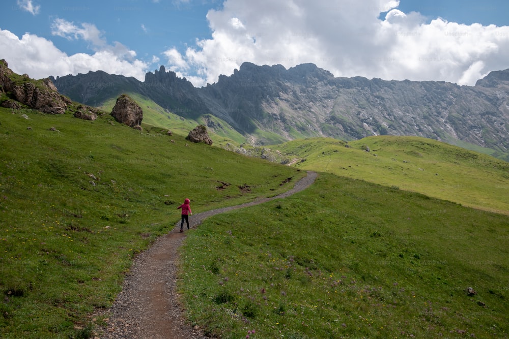 a person standing on a path in the middle of a field