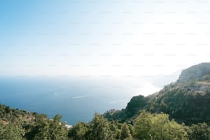 a scenic view of the ocean from a hill