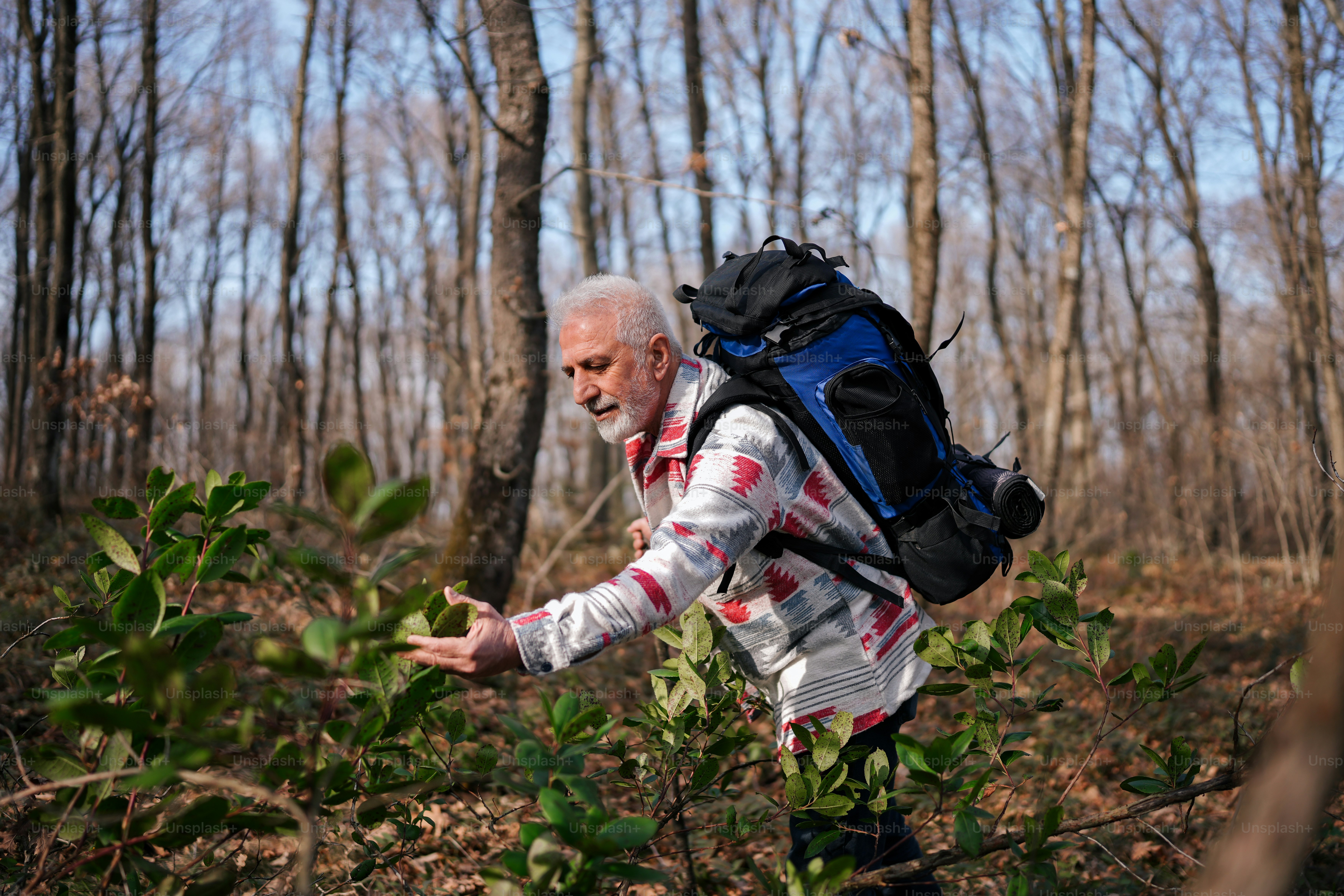 um homem com uma mochila andando por uma floresta