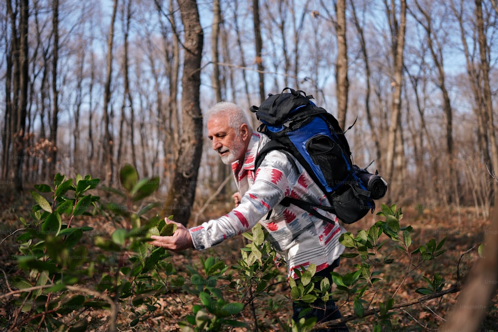 um homem com uma mochila andando por uma floresta