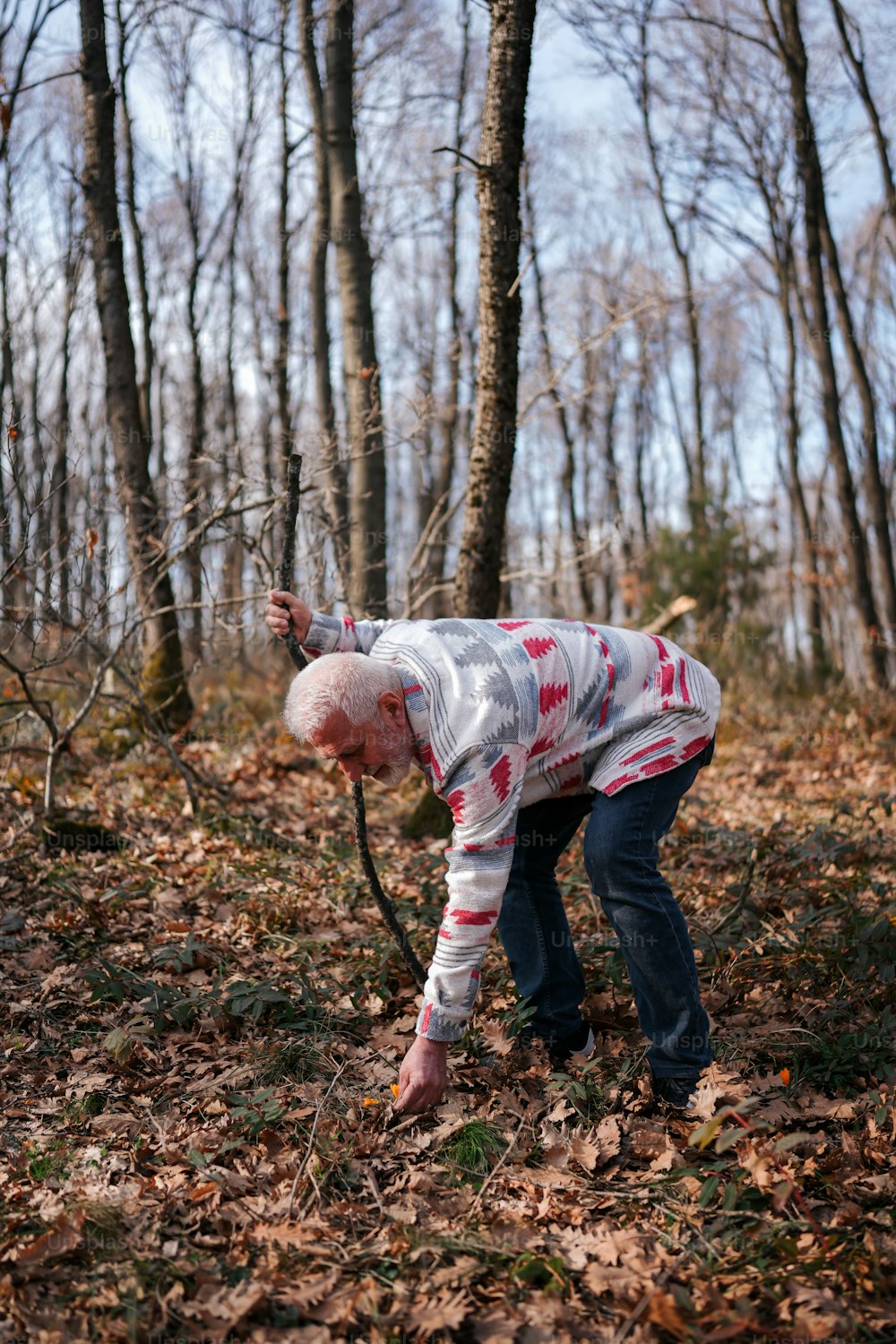 an old man picking up leaves in the woods