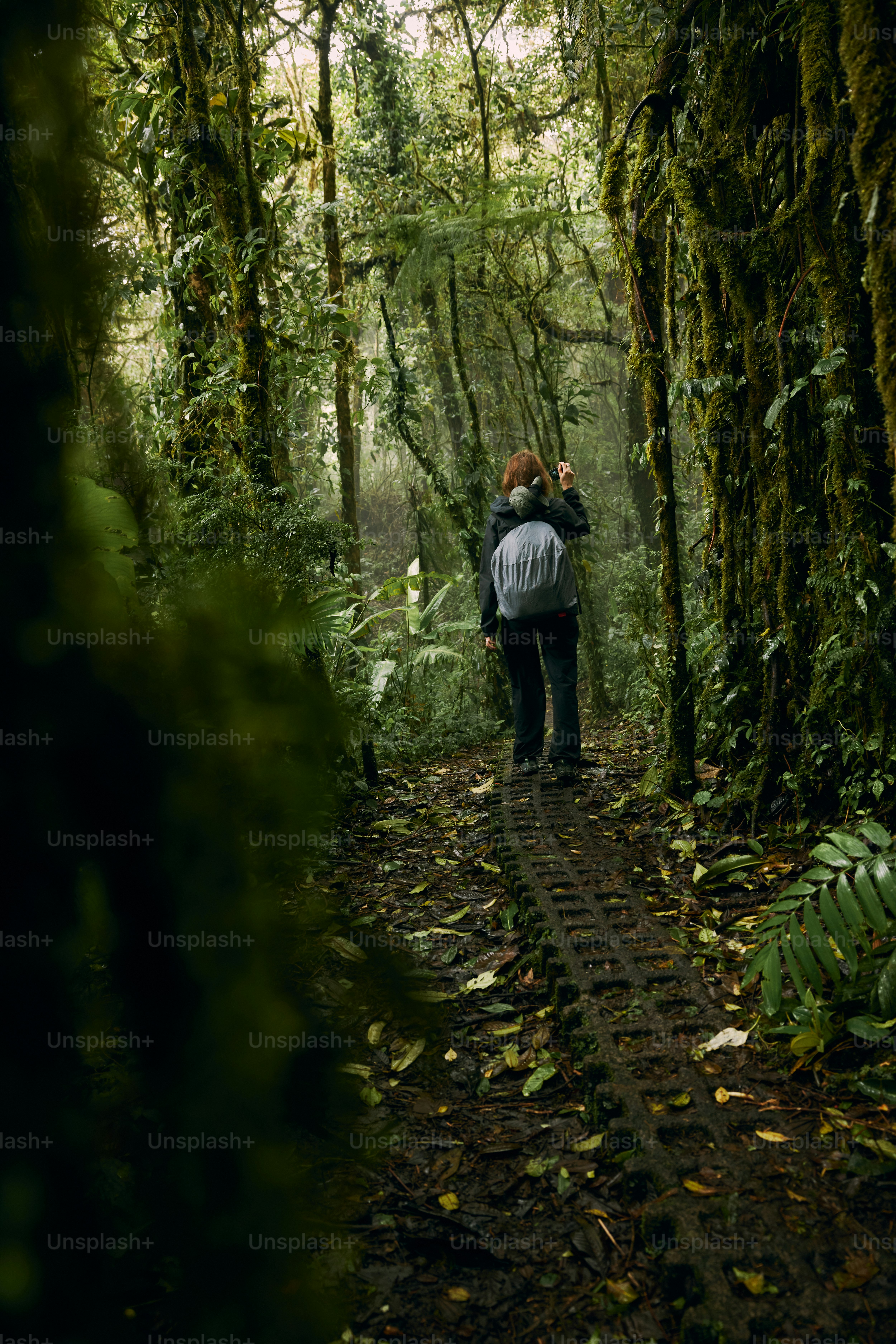 Seorang pria berjalan melalui hutan hijau subur