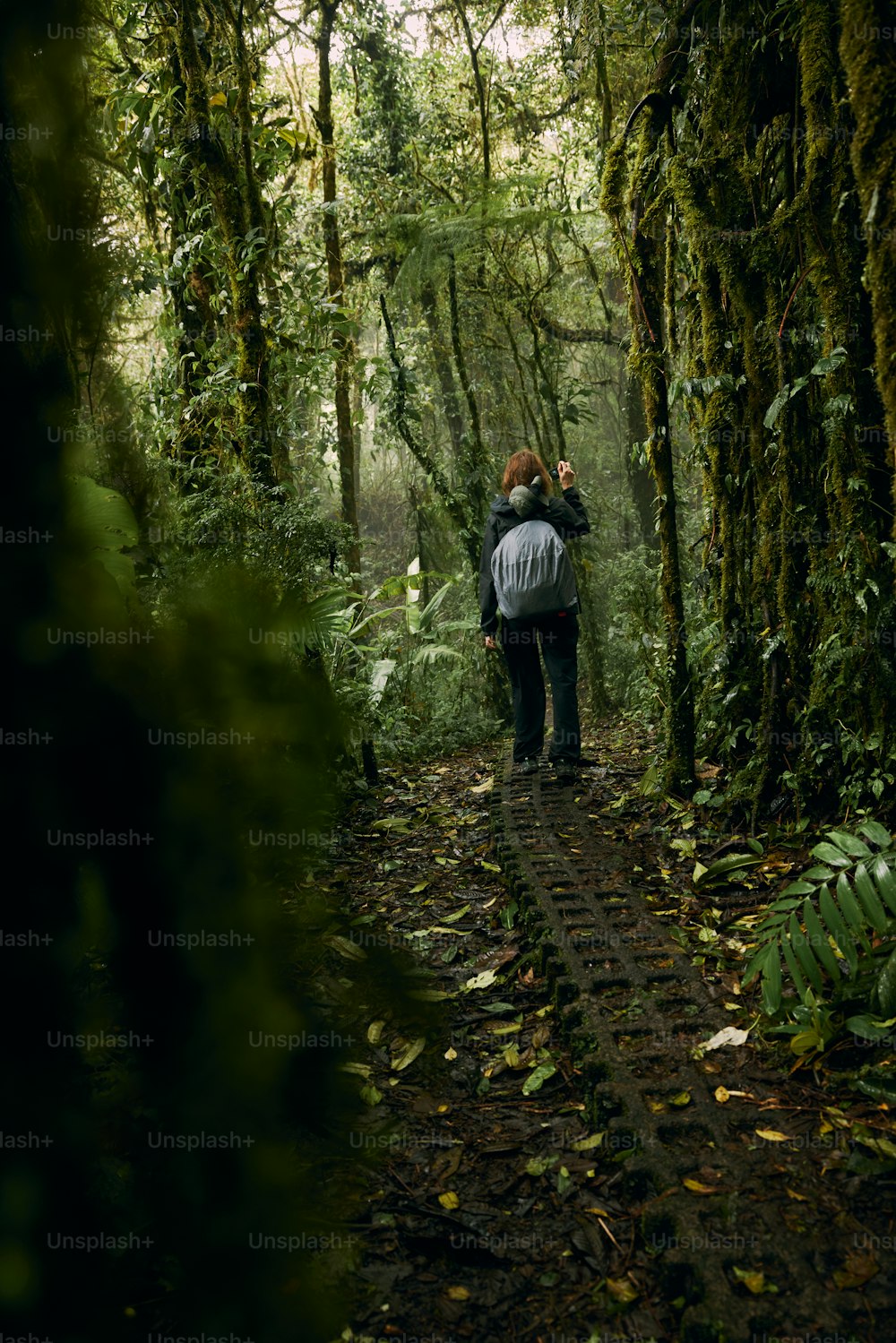 a man walking through a lush green forest