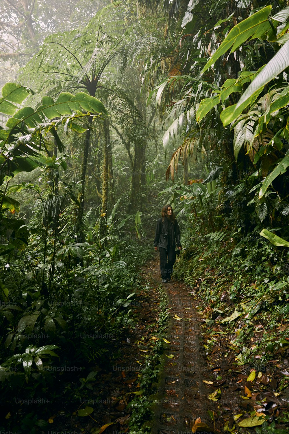 a person walking down a trail in the middle of a forest