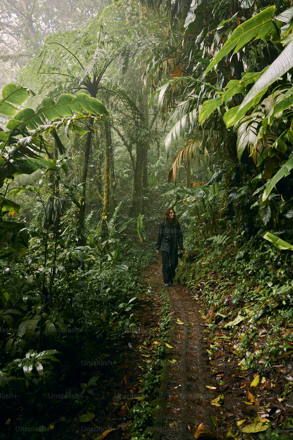 a person walking down a trail in the middle of a forest